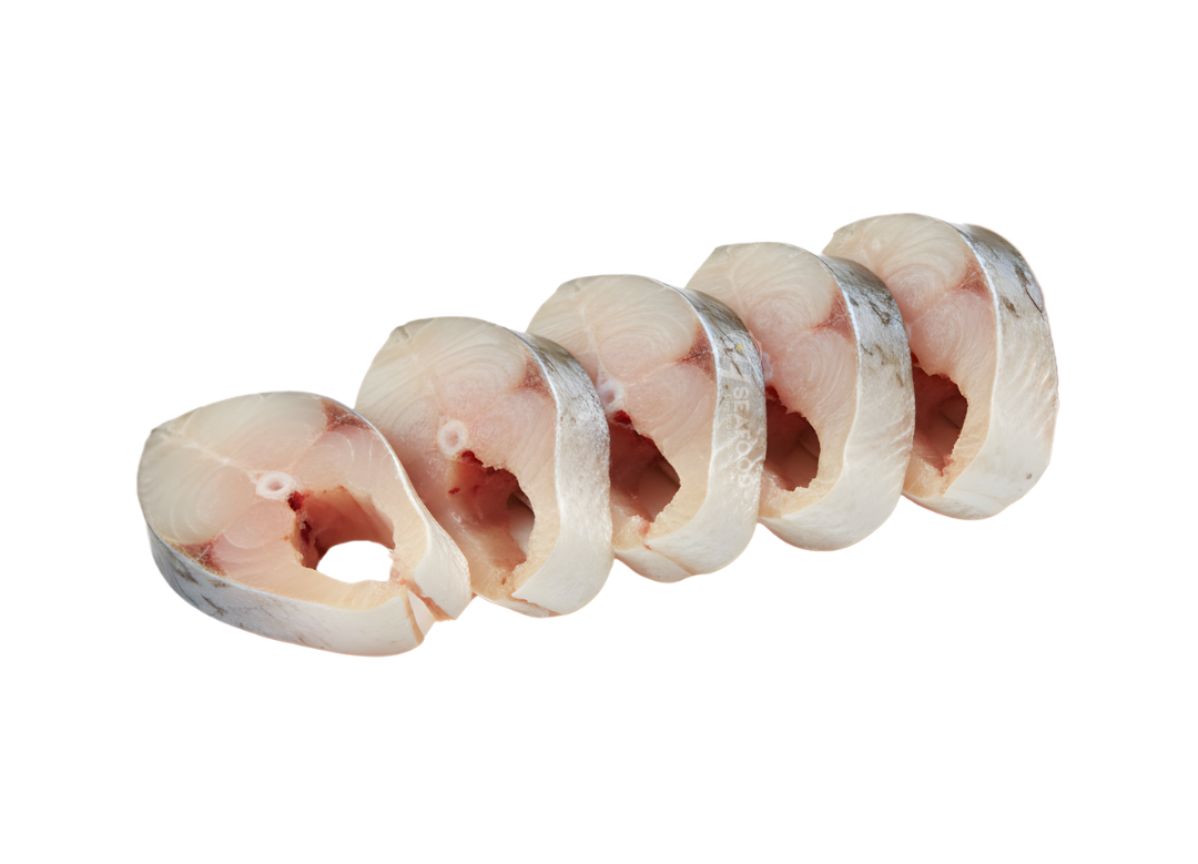 Croaker - مشکا مچھلی