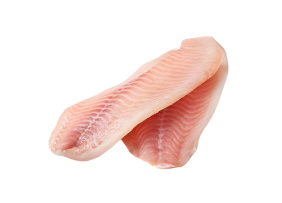 Croaker - مشکا مچھلی