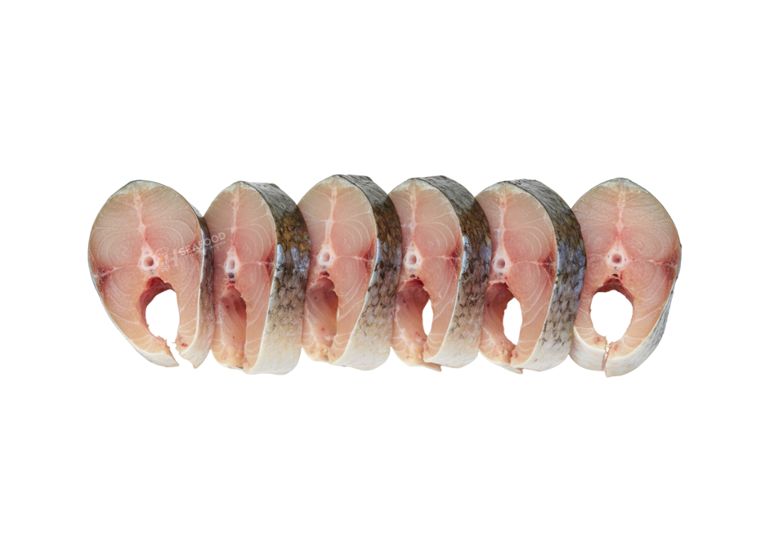 Javelin Grunter - دھوتڑ مچھلی