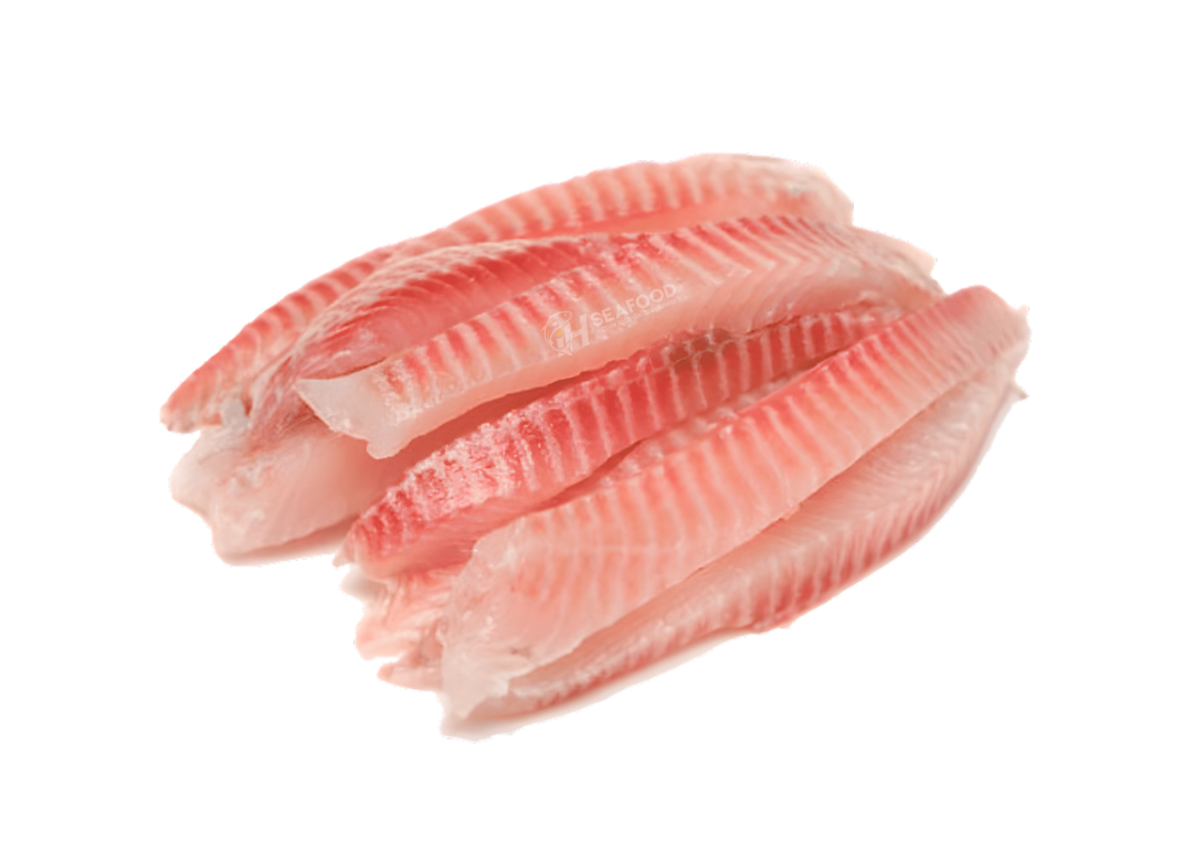 Javelin Grunter - دھوتڑ مچھلی