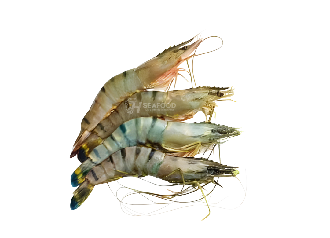 Tiger Prawn - ٹائیگر جھینگا