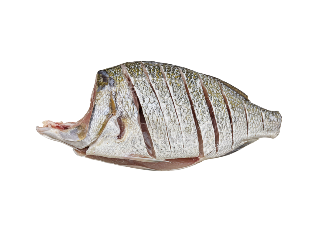 Emperor - مولا مچھلی